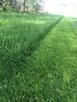Nawadniania ogrodów. Usługi ogrodnicze. Trawniki - 6