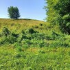 Działka budowlano-rolna - 3