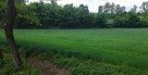 Działka budowlana o pow. 0,48ha w Dziemięrzycach - 2