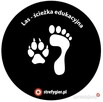 Las - ścieżka edukacyjna-gry korytarzowe, naklejki podłogowe - 5
