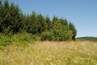 Urokliwa działka rolno-budowlana w miejscowości Strachocina, - 13