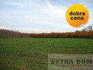 tanie , nieduże działki - 5