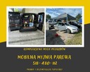 Mobilna myjnia parowa/czyszczenie i pranie tapicerki - 1