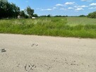Działka na sprzedaż - Grabowica, gm. Pacanów - 8
