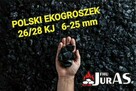 Ekogroszek workowany POLSKI 26/28 MJ NAJTANIEJ - 2