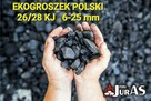 Ekogroszek workowany POLSKI 26/28 MJ NAJTANIEJ - 1