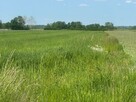 Działka na sprzedaż - Grabowica, gm. Pacanów - 7