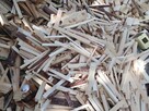 Drewno opałowe/ rozpałowe - 1