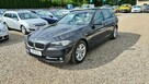 BMW 520 X-Drive, Harmon/Kardon, Webasto - 3