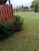 Sprzedam - 11