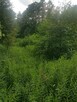 Połaniec działka na sprzedaż - 14