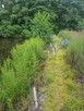 Połaniec działka na sprzedaż - 12