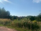 Działka budowlana uzbrojona 1487m2, Szczawno-Zdrój Struga - 2