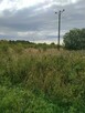DZIAŁKA PYRZYCE GM. PYRZYCE POW.3001M2. - 3