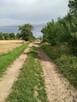 DZIAŁKA PYRZYCE GM. PYRZYCE POW.3001M2. - 4