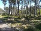 Sprzedam działke budowlaną w Dziwnowie - 13