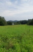 DZIAŁKA NA SPRZEDAŻ Chełmiec - 2