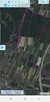 Sprzedam działkę leśną pow. 1,76ha 1 km. od Mławy. - 3