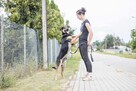 Stan cywilny Cywila- singiel szukający swojej drugiej połowy - 3