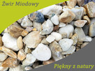ŻWIR MIODOWY 1T BB OGRÓD DOSTAWA GRATIS - 4