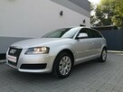 Audi A3 1.6 MPI 102KM SPORTBACK Klimatronic Isofix Alu Serwis Gwarancja - 10