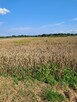 Dzialka rolna - 2