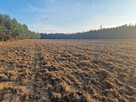 Gospodarstwo - działka 9,44 ha - okolice Augustowa - 16