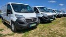 E-Ducato Salon Polska Bezwypadkowy - 10