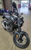 Nowy motocykl sportowy Honda 2024 CB300R ABS na sprzedaż - 1