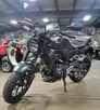 Nowy motocykl sportowy Honda 2024 CB300R ABS na sprzedaż - 2