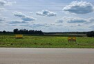 Działki budowlane w Rudniku Szlacheckim Kol. - 2
