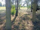 Na sprzedaż działka rolno budowlana 49ar - 12