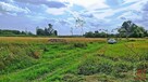 Działka rolno-budowlana Folwarki Wielkie gm. Zabłudów - 2