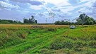 Działka rolno-budowlana Folwarki Wielkie gm. Zabłudów - 3