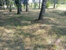 Na sprzedaż działka rolno budowlana 49ar - 11