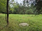 Działka budowlana w Beskidzie Niskim - 4