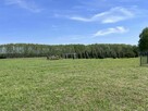 Piękna działka nad j. Białym - 300 m! - 9