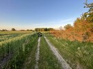 Działka rolna Dąbrowa gm. Sianów - 4