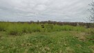 Działka Stare Bielice gm. Biesiekierz - 5