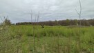 Działka Stare Bielice gm. Biesiekierz, Platanowa - 5