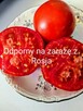 Pomidor ogorek rosyjskie odmiany odporne na zaraze - 5