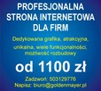 Projektowanie Stron Internetowych od 1100 zł - 1