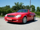 Mercedes SLK 230 2.3 Kompressor 197KM Cabrio Hardtop Bardzo Zadbany Kabriolet Cabriolet - 1