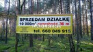 Urokliwa działka leśna nad Wartą, 1 ha, szer. 36m - 1