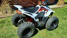 KAYO Inny SALON MOTOCYKLOWY MOTOEAGLES Kayo AY70 Sprawdż ofertę i Serwis - 2