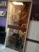 Sprzedam terrarium dla kameleona, gekona lub weża - 2