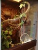 Sprzedam terrarium dla kameleona, gekona lub weża - 3