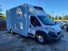 Fiat Ducato Chłodnia 2xkomora/Zasilanie 230V/Salon PL/FV23%/Leasing/Kredyt/Export - 1