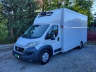 Fiat Ducato Chłodnia 2xkomora/Zasilanie 230V/Salon PL/FV23%/Leasing/Kredyt/Export - 3