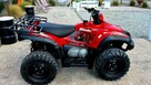 TGB Blade TGB BLADE 4x4  bardzo zadbany ATV QUAD  homologacja L7E - 9